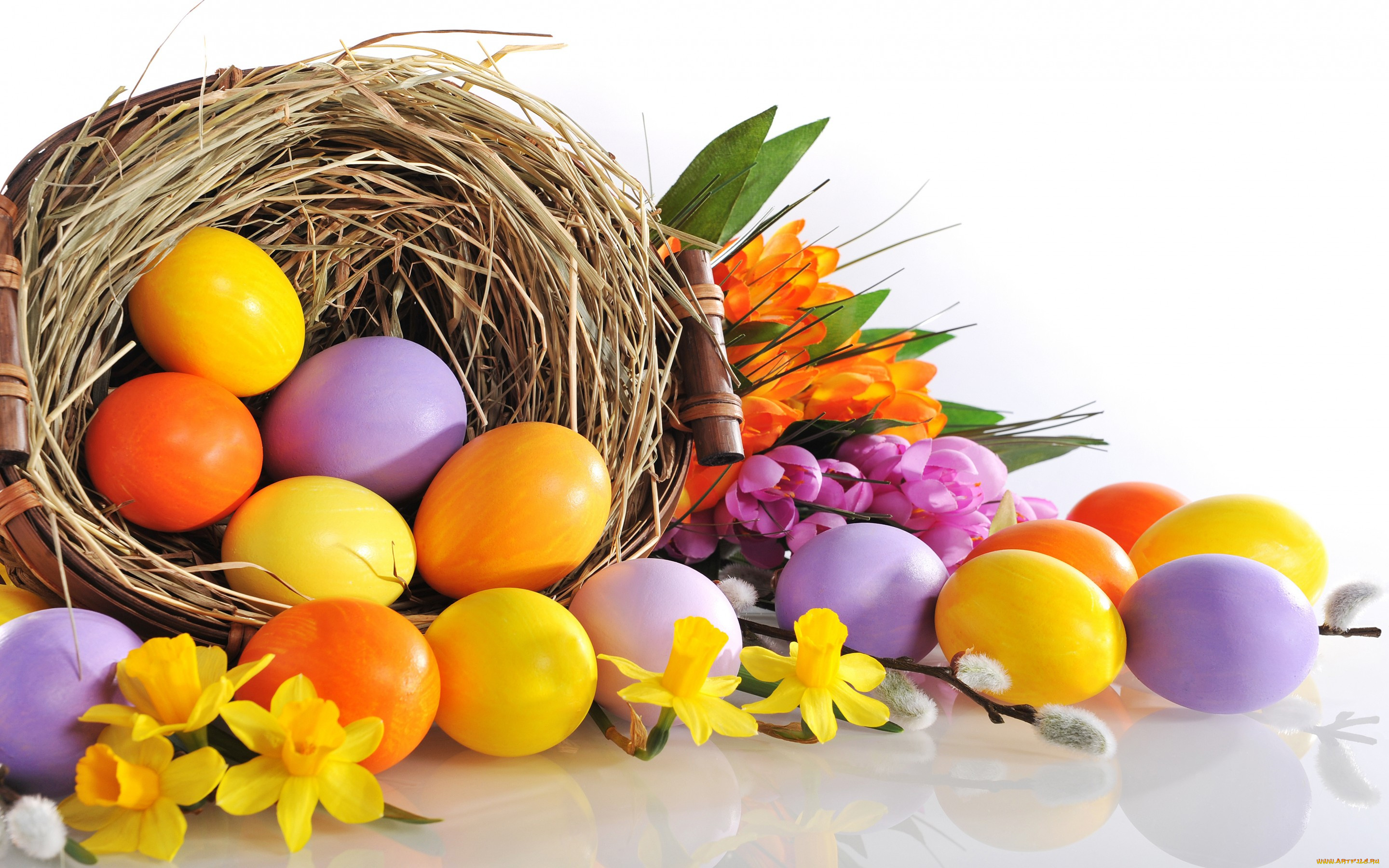 , , , , , easter, eggs, flowers